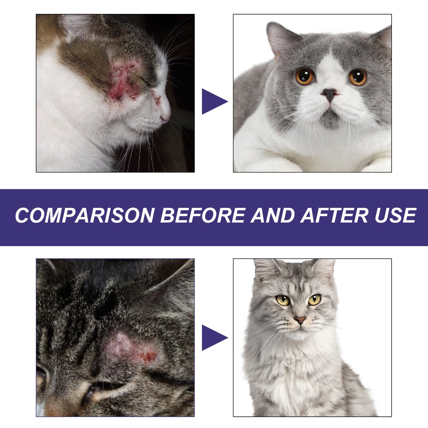 Pet Care Spray, Pet Cat And Dog Skin Wound Care Skin Moss Itchy Repair Spray