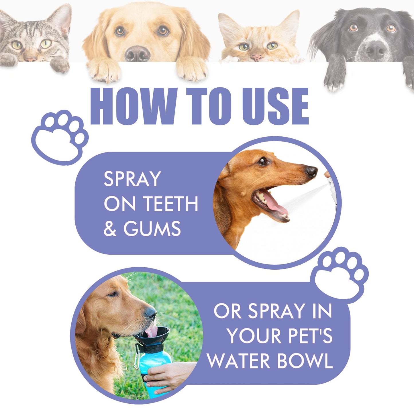 Tooth Cleaning Spray For Cats And Dogs, Remove Tooth Stains Fresh Breath Pets Oral Care Spray