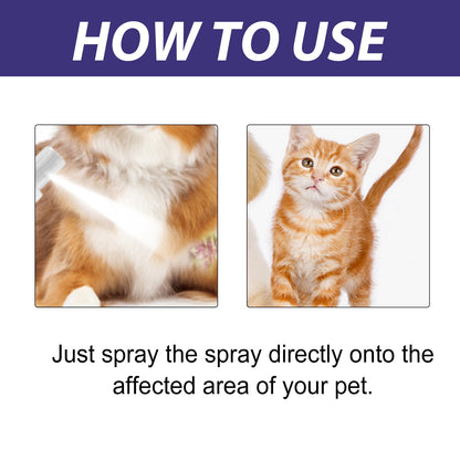 Pet Care Spray, Pet Cat And Dog Skin Wound Care Skin Moss Itchy Repair Spray