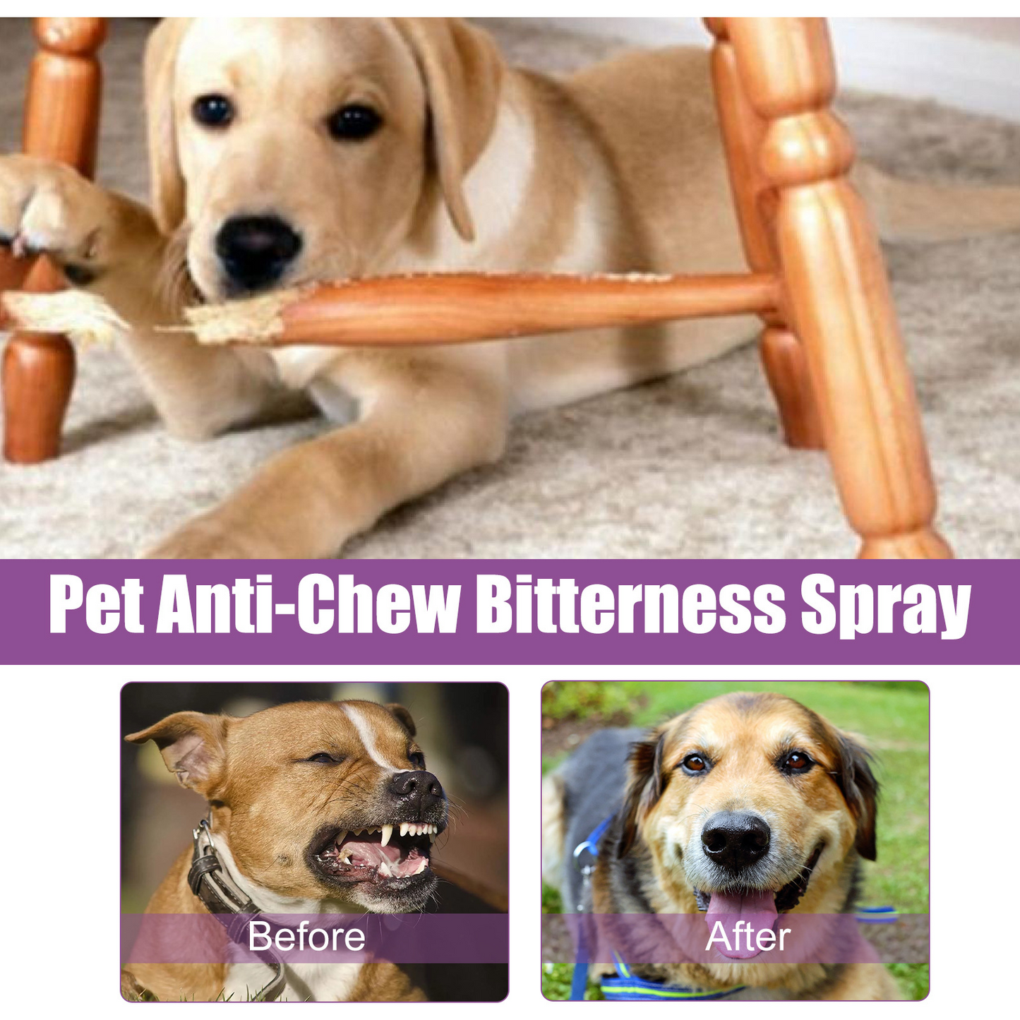 Pet Noise Reduction Calming Spray, Prevent Stress Soothe Pet Calm Mood Reduce Pet Noise Spray